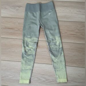 Gym Shark Adapt Ombré Seamless Leggings